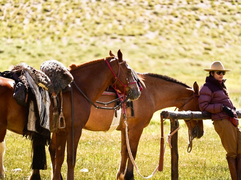 Cruce por los Andes — foto 1