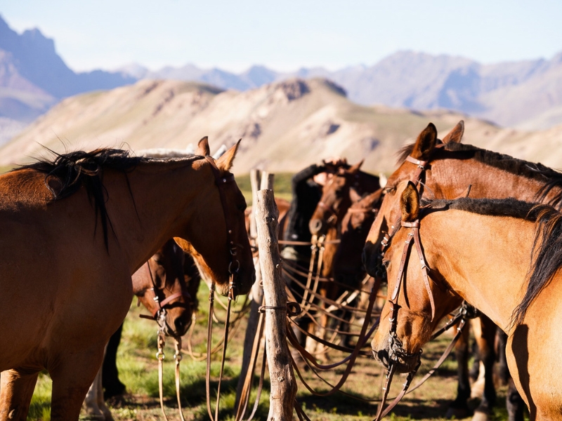 Cruce por los Andes — foto 16