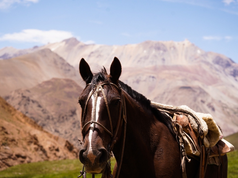 Cruce por los Andes — foto 17