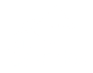 Cruce por los Andes